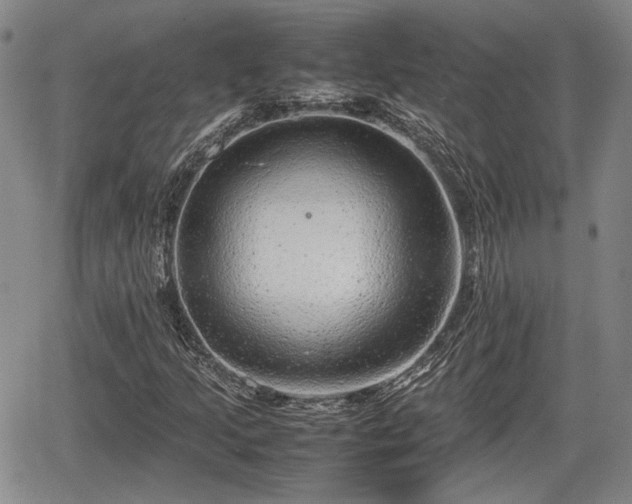 X0000067501205200604101222