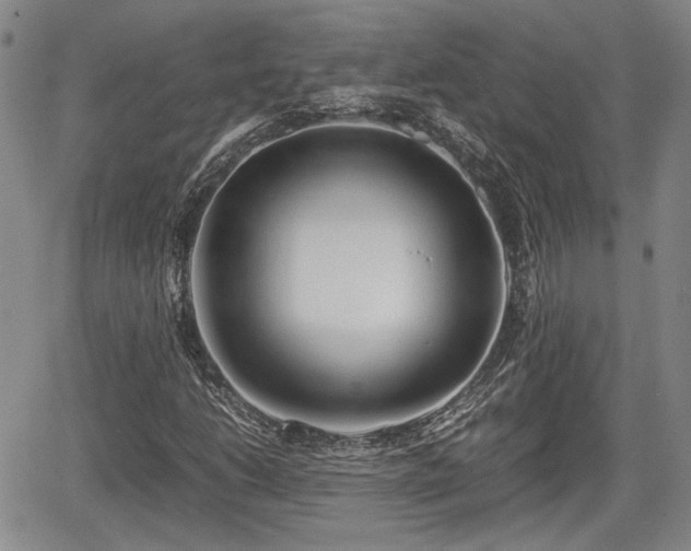 X0000067501206200604101222