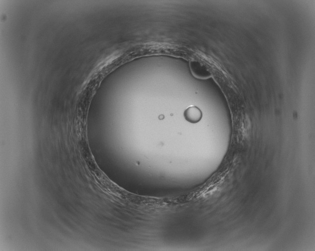 X0000067501207200604101222