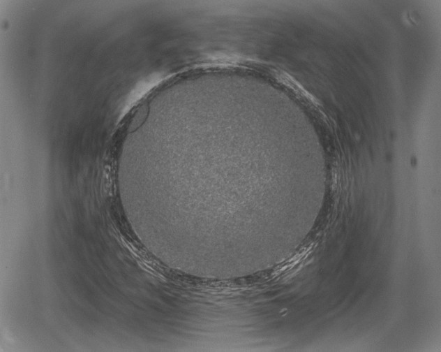 X0000067501208200604101222