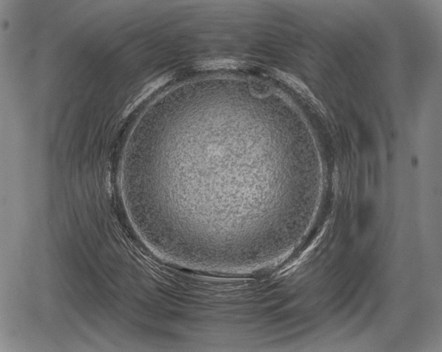 X0000067501209200604101222