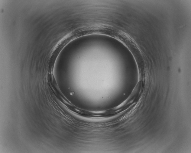 X0000067501210200604101222