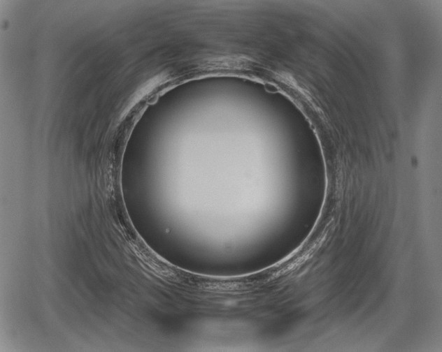 X0000067501211200604101222