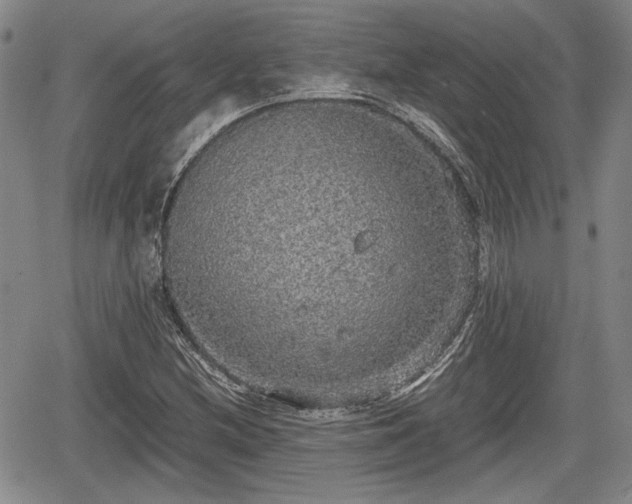 X0000067501212200604101222