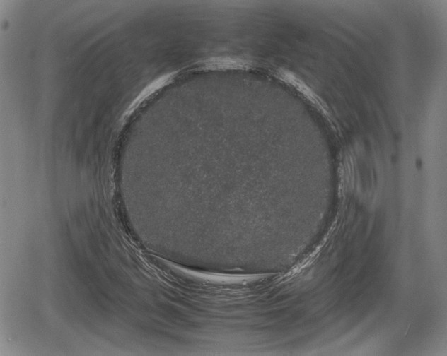 X0000067501213200604101222