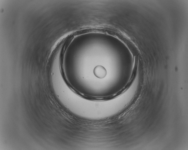 X0000067501214200604101222