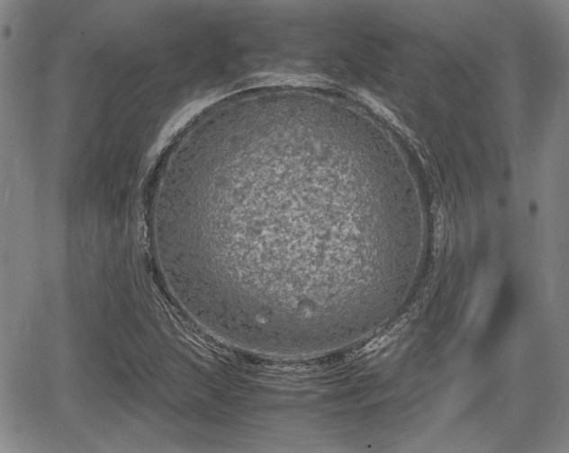 X0000067501215200604101222