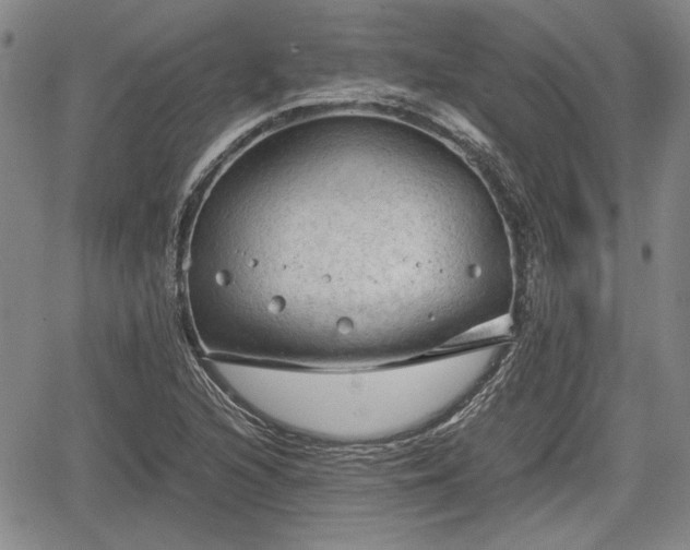 X0000067501216200604101222