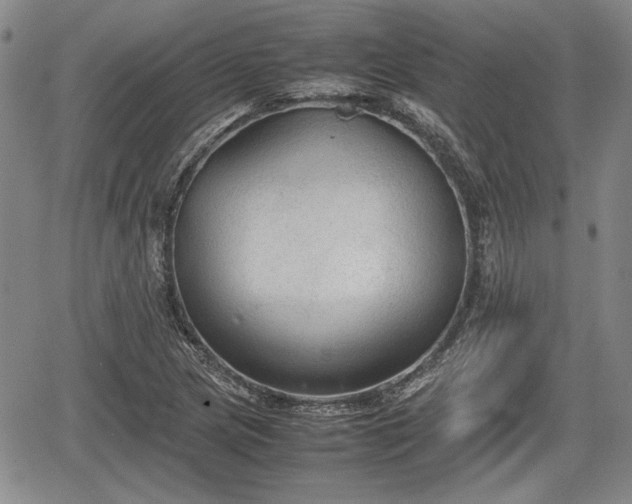 X0000067501217200604101222