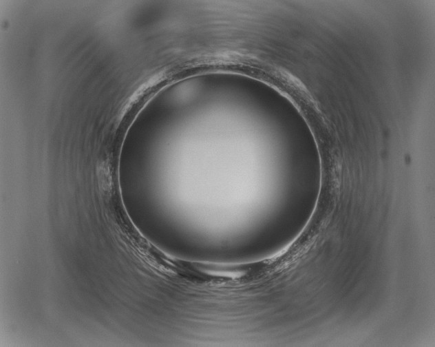 X0000067501218200604101222