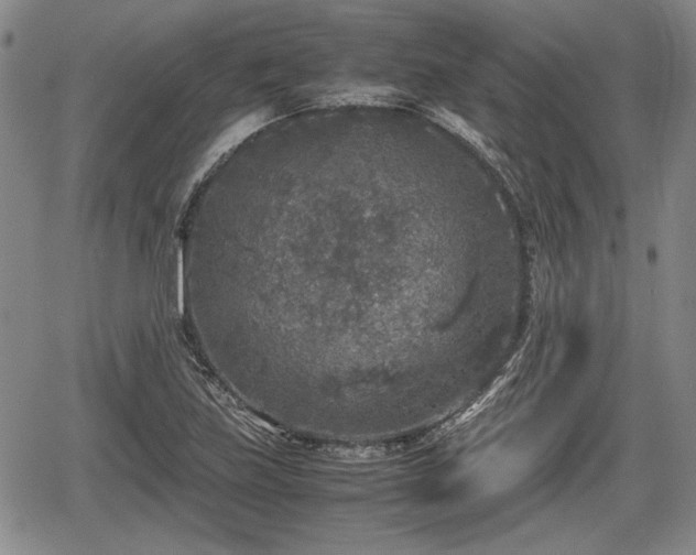 X0000067501219200604101222