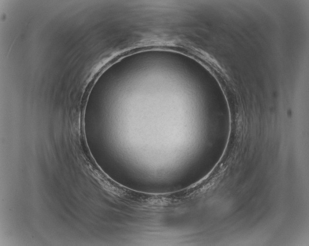 X0000067501220200604101222