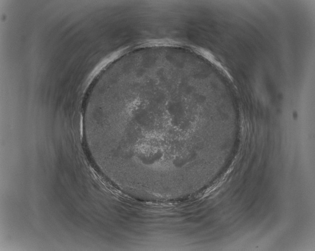 X0000067501221200604101222