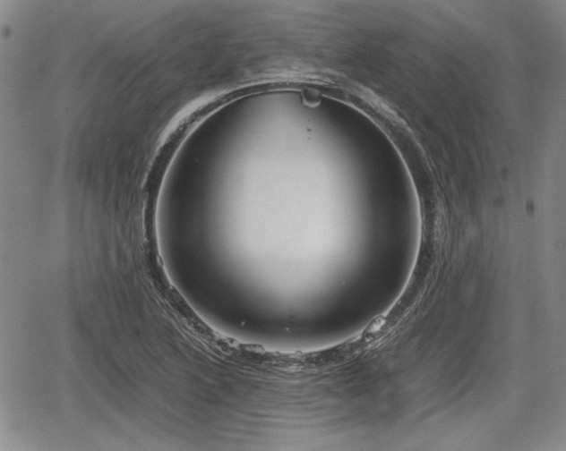 X0000067501222200604101222