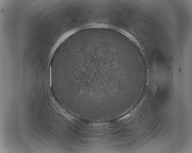 X0000067501223200604101222