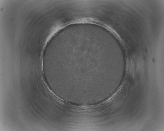 X0000067501224200604101222