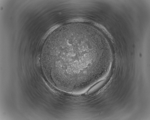 X0000067501225200604101222