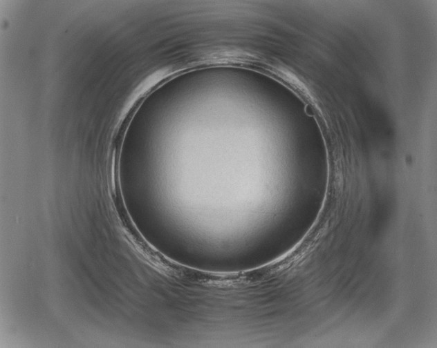 X0000067501227200604101222