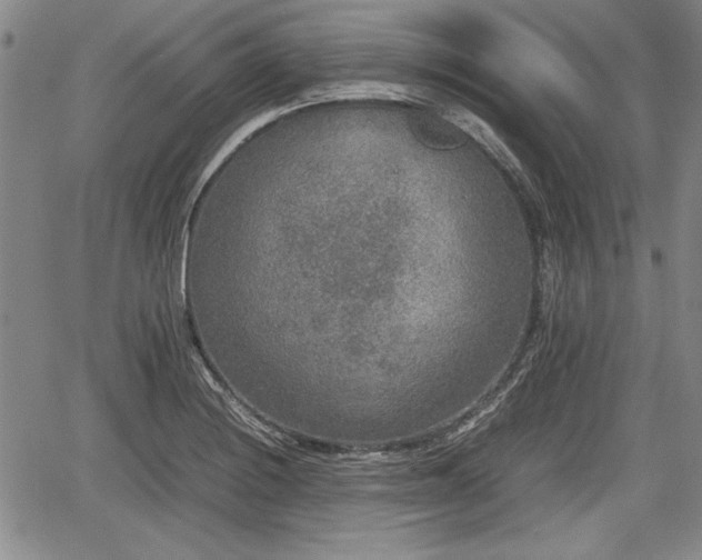 X0000067501228200604101222