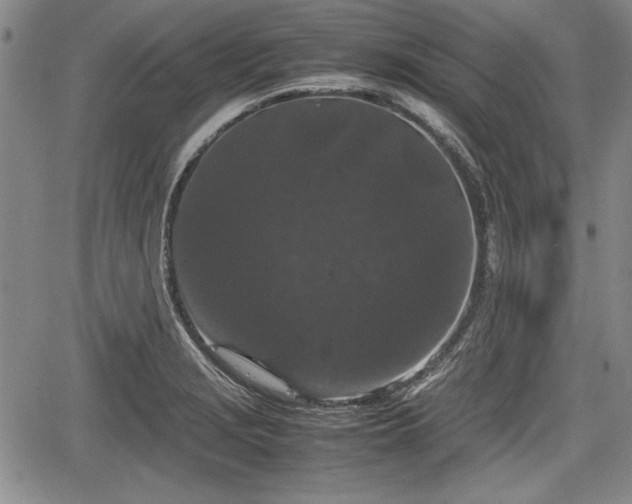 X0000067501229200604101222