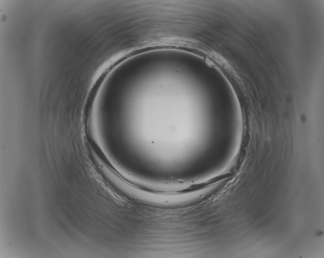 X0000067501230200604101222