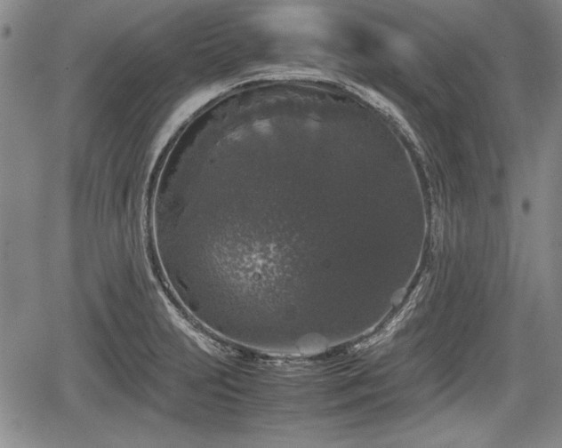 X0000067501231200604101222