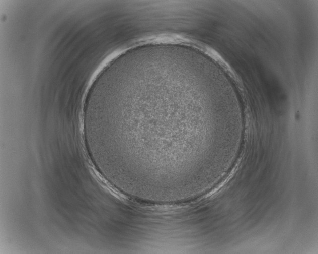 X0000067501232200604101222