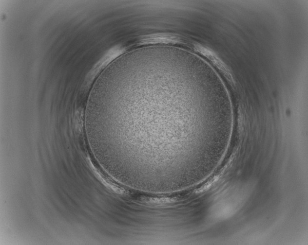 X0000067501233200604101222