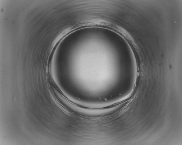 X0000067501234200604101222