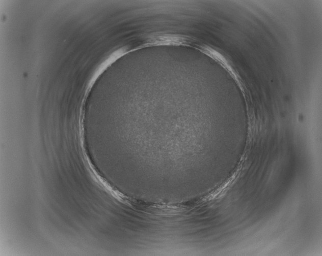 X0000067501235200604101222