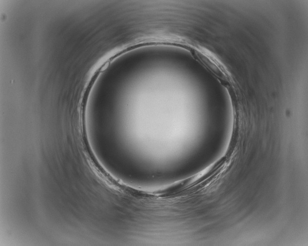 X0000067501238200604101222