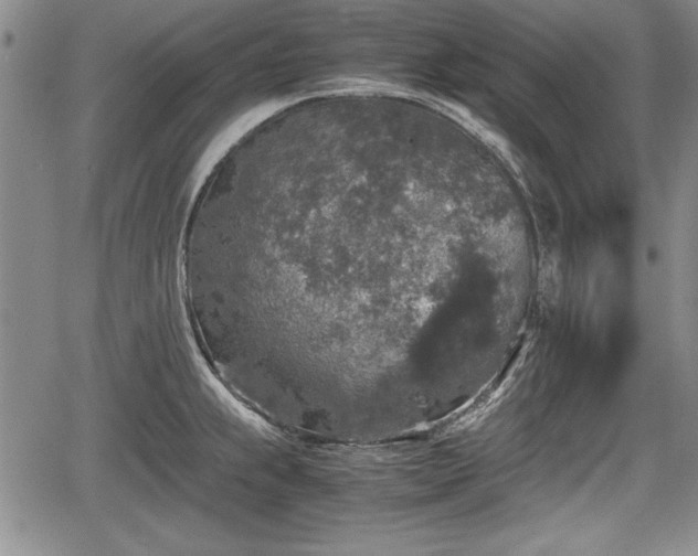 X0000067501239200604101222