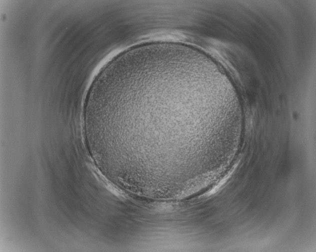 X0000067501240200604101222