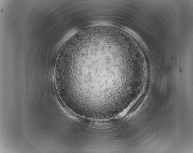 X0000067501241200604101222