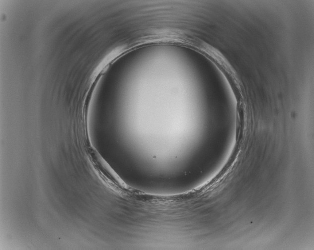 X0000067501242200604101222