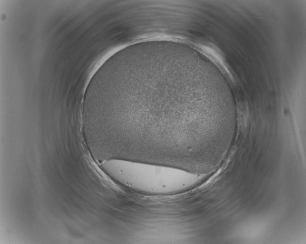 X0000067501244200604101222