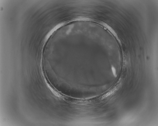 X0000067501245200604101222