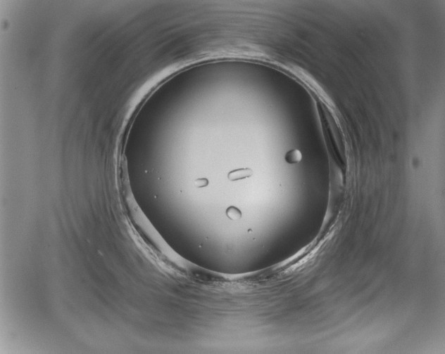 X0000067501246200604101222