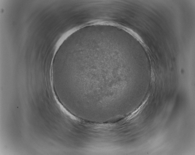 X0000067501247200604101222