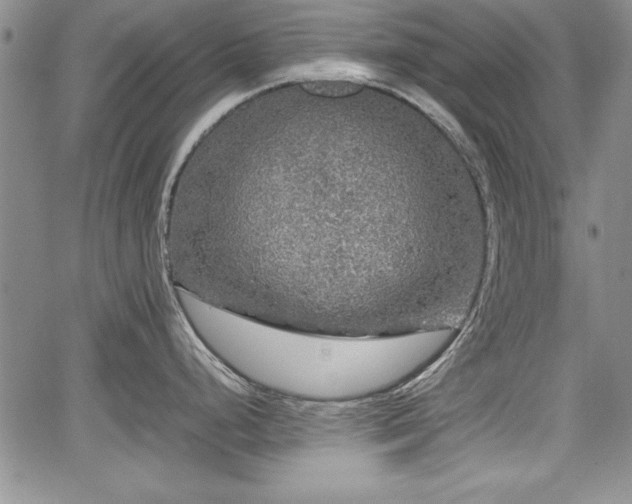 X0000067501248200604101222