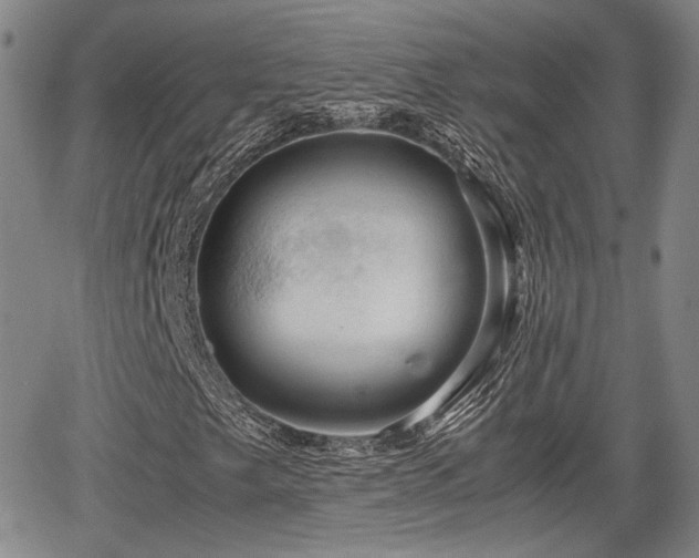 X0000067501249200604101222