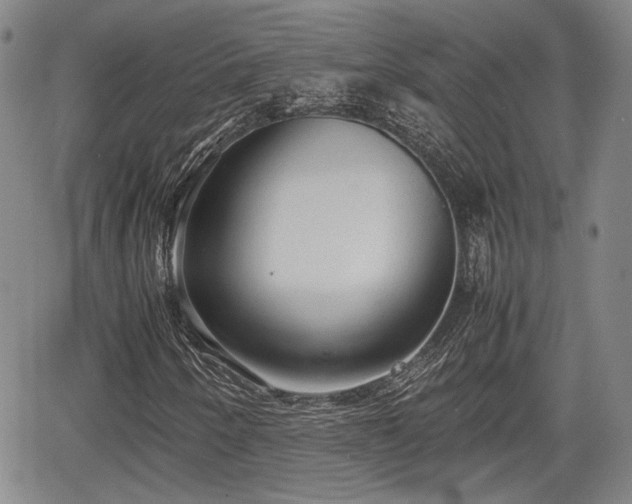 X0000067501250200604101222