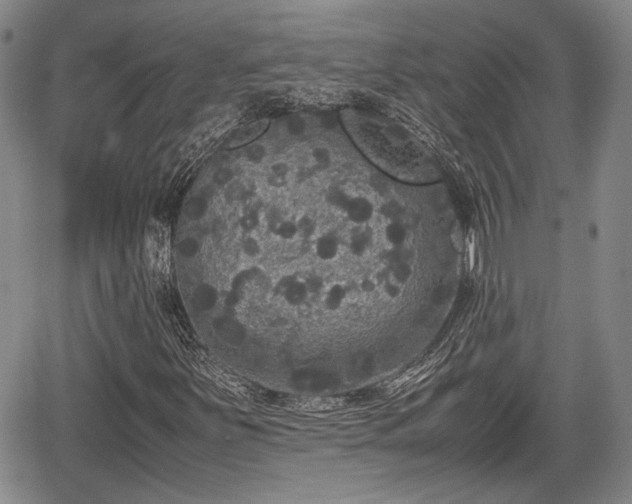 X0000067501251200604101222