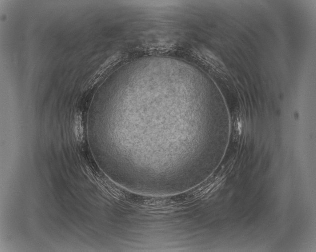 X0000067501252200604101222