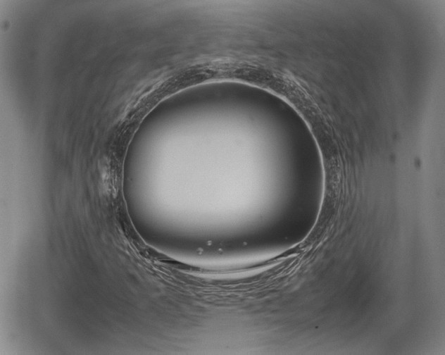 X0000067501253200604101222