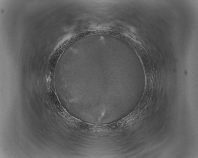 X0000067501254200604101222