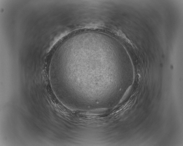 X0000067501256200604101222