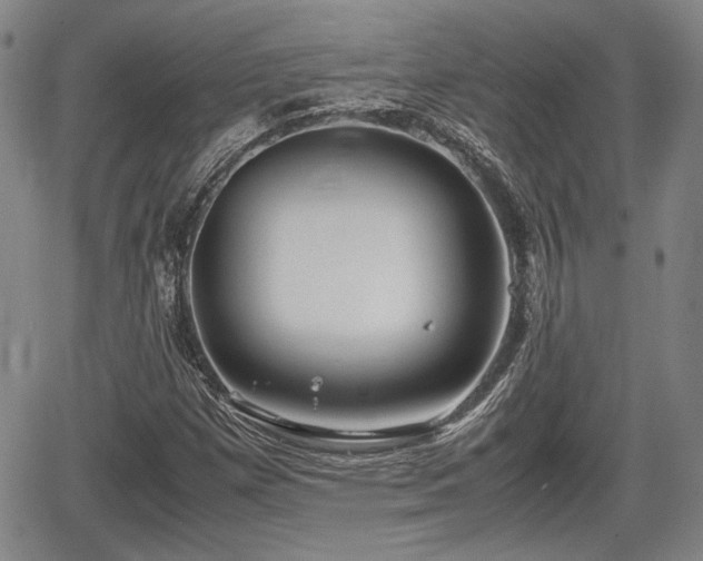 X0000067501257200604101222