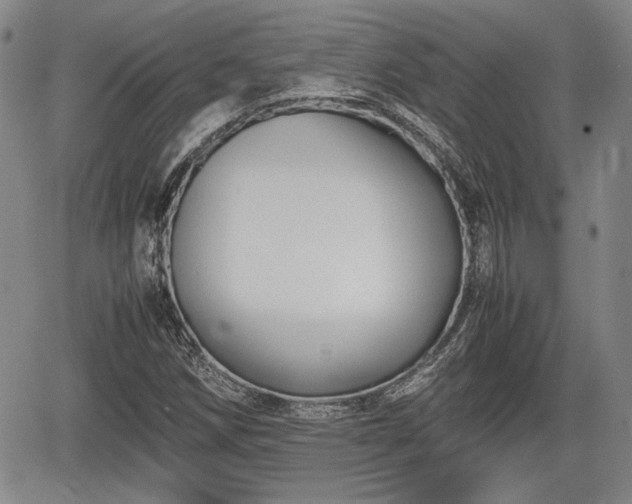 X0000067501258200604101222