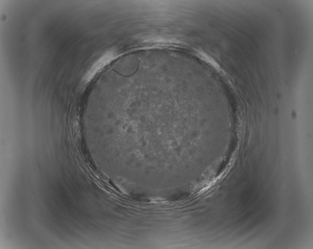 X0000067501259200604101222